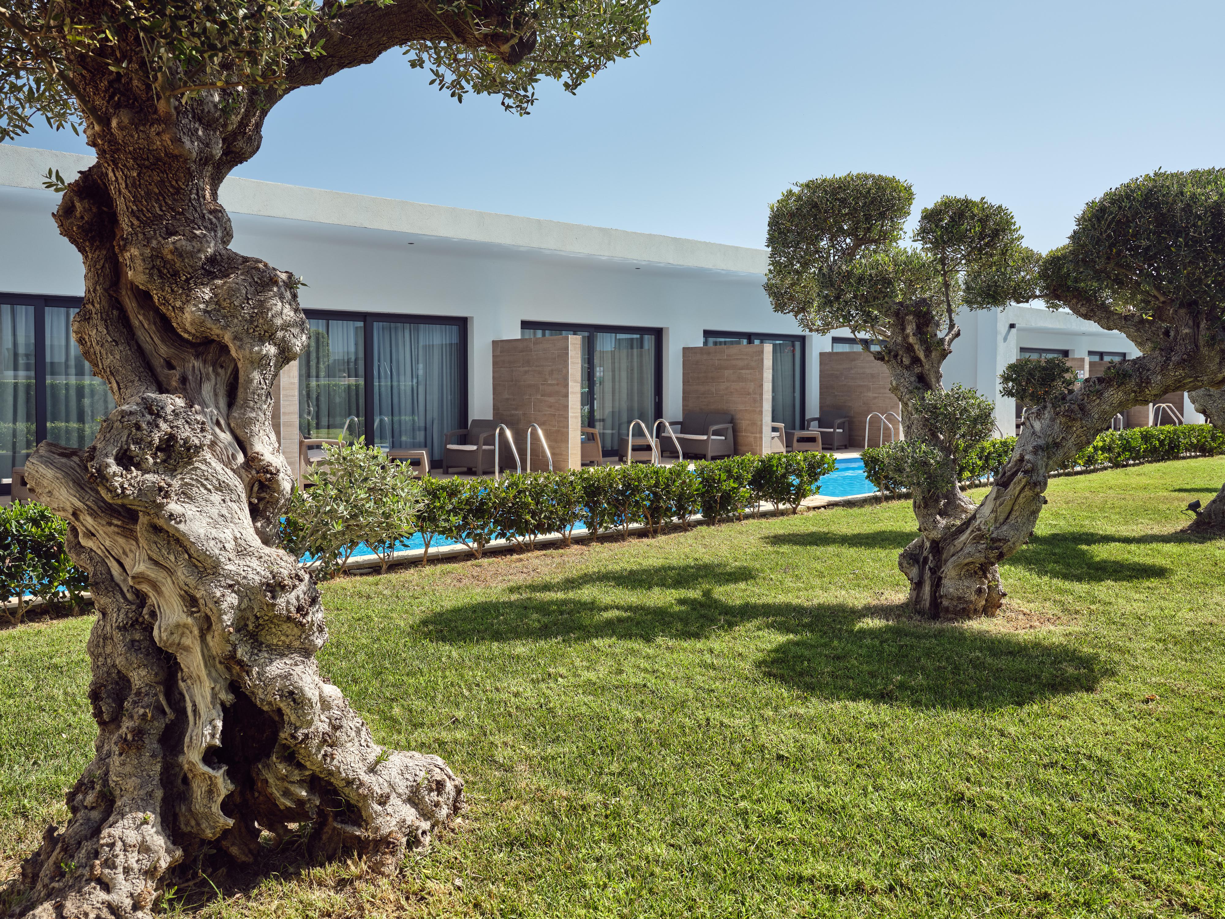 Cavo Orient Beach Hotel & Suites Drosia  Экстерьер фото